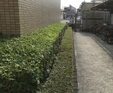 お庭のお悩み解決致します イメージ1