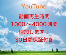 YouTube動画再生を1000時間増加させます 安心できるこのお値段。オプション購入でもっとお得に！