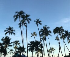 どんな些細な事でも・なんでもお話しをお聞き致します イメージ1