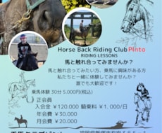 チラシ・フライヤーをデザインしますます イメージ1