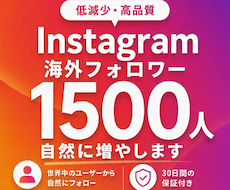 インスタフォロワーを1500人増やします イメージ1