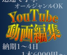 迅速で丁寧なYouTube動画編集承ります ！困っているあなたの動画編集お助けします！