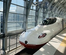 仕事や今後のキャリアについて相談に対応します