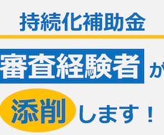 小規模事業者持続化補助金の申請書を【添削】します 「審査経験者」含む有識者チームで専門的視点からばっちり添削！