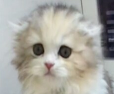 超絶人気、貴方の【YouTube】動画を応援します イメージ1