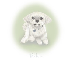 動物のふんわりオリジナル似顔絵アート描きます