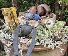 植物に関するお悩みの相談お受けします イメージ1