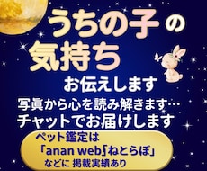 うちの子の気持ち、お伝えします イメージ1