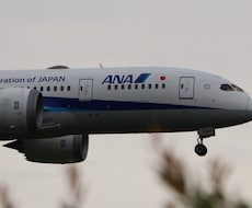 撮影した旅客機（ANA様）の写真を提供します イメージ1