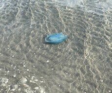 なんでも相談聞きます イメージ1