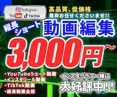 高度な縦長ショート動画編集承ります イメージ1
