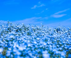 思い出の1ページに残る写真や宣材写真等を撮影します イメージ1