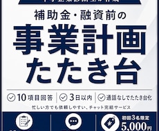 補助金・融資前の事業計画を整理します イメージ1
