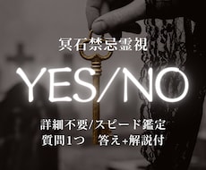 YES/NO│詳細不要答えと流れスピード鑑定します イメージ1