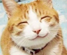 話聞きます イメージ1