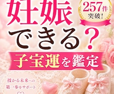 私は妊娠できる？ 子宝運を詳しく鑑定します イメージ1
