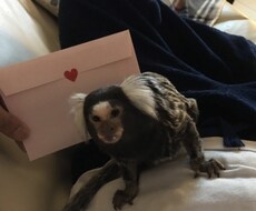 これからの生き方と稼ぎ方について教えます イメージ1