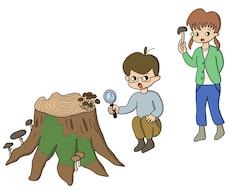 ホームページや販売ページ用の図解イラスト制作します イラストでやさしくわかりやすく伝わる手助けを