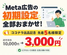 Meta広告の初期設定を代行します 先着5名様限定｜通常価格1万円→3,000円で対応します！