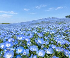 長文の守護霊さんからのお手紙書きます イメージ1