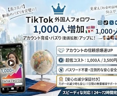 TikTokフォロワー+1000増加します イメージ1