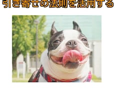 ビジネス実践編・引き寄せの法則を活用する！