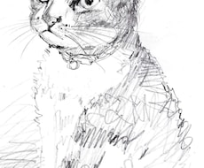 ペットのスケッチ描きます イメージ1