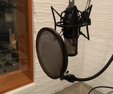 声優陣によるキャラクターボイス提供を行えます イメージ1