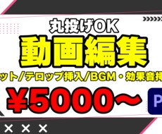 丸投げOK動画編集承ります イメージ1