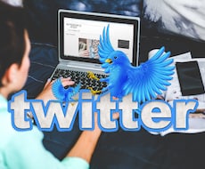 twitterで宣伝&リツイートします 貴方の商品やサービスを1万2千フォロワーに宣伝します。