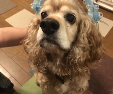 5日間！どんな愚痴でも聞きます イメージ1