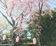 子育てのお悩みにお答えします 元保育士が長年の経験と2児の子育て経験を活かし育児サポート