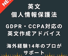 英文個人情報保護対応のポリシー関連アドバイスします GDPR・CCPA対応の英文翻訳・作成もお任せください