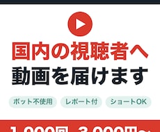 YouTube広告で国内の再生回数を増やします ボット不使用｜広告管理画面のレポート付き｜ショートOK