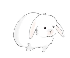 あなたのペットを柔らかいタッチでイラストにします イメージ1