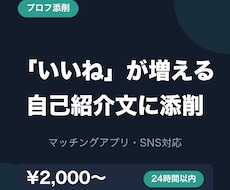 マッチングアプリのプロフを丸ごと添削します イメージ1