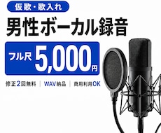 仮歌・歌入れ用の男性ボーカルを高音質で録音します イメージ1