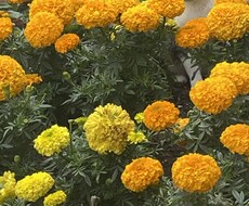 どんなお話も聞きます イメージ1
