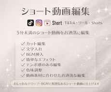 5分未満のショート動画編集をします イメージ1