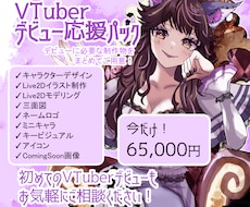VTuberデビュー応援パック制作します イメージ1