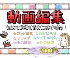 迅速・丁寧！YouTube編集代行します イメージ1