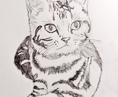 ペットの似顔絵を鉛筆で書きます イメージ1