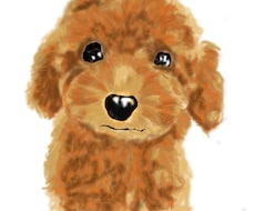 ペットの似顔絵を書きます イメージ1