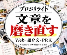 プロがリライト！Web・紹介・PR文を磨き直します 大手企業の広告、映画、編集等の実績◎／1,000字まで1万円