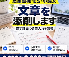 志望動機・ES・小論文を赤入れ付きで添削します イメージ1