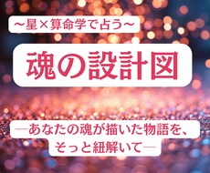 魂の設計図を読み解きます 星と宿命が紡ぐ、魂の羅針盤を読む西洋×インド×算命鑑定