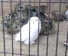 なんでも相談のります イメージ1