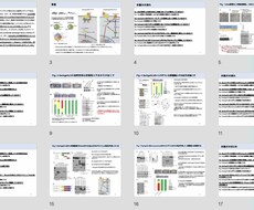 論文紹介のスライド作成を行います イメージ1