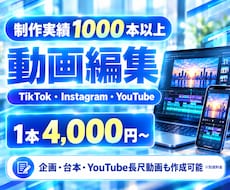 実績250件｜TikTok・リール動画編集します Instagramリール・TikTok動画編集｜企業実績多数