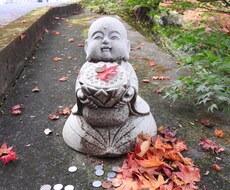 タロット占いで相談乗ります イメージ1